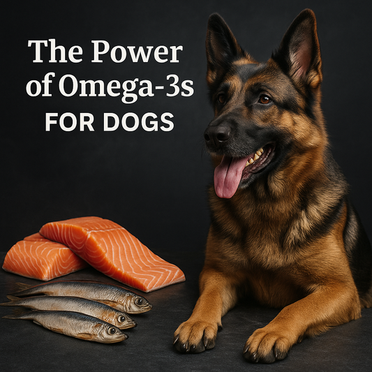 German Shepherd with a shiny coat standing beside fresh salmon fillets and sprats on a dark textured background with soft wisps of smoke, representing omega-3-rich dog nutrition by K9 Prime Cuts.
