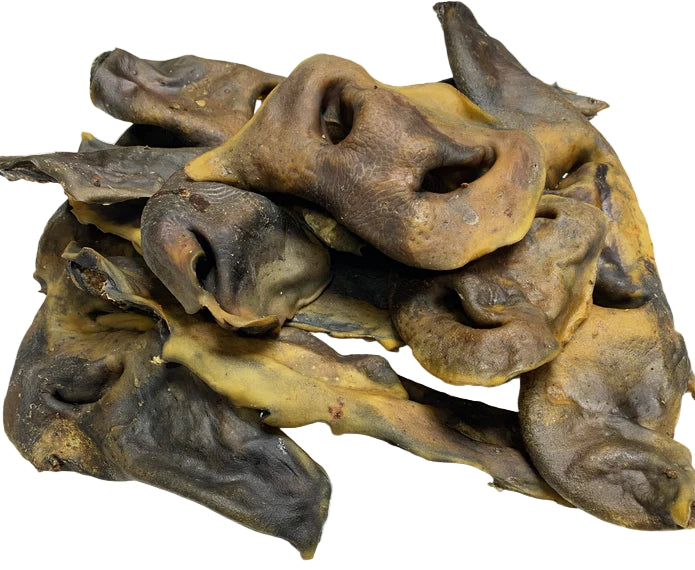 100% beef nose natural dog chew from K9 Prime Cuts – single-ingredient, long-lasting, helps support dental and jaw strength for strong chewers.