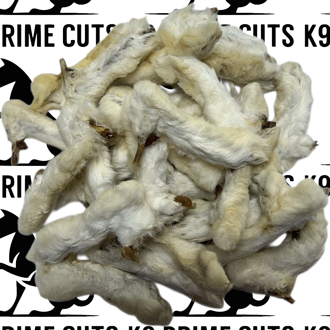 Natural hairy rabbit feet dog treats from K9 Prime Cuts – 100% wild rabbit, hypoallergenic, grain-free chew for dogs in Basingstoke. Ideal for raw feeding and BARF diets.