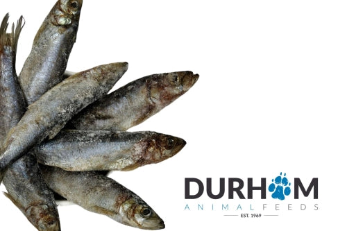Herring - 1kg