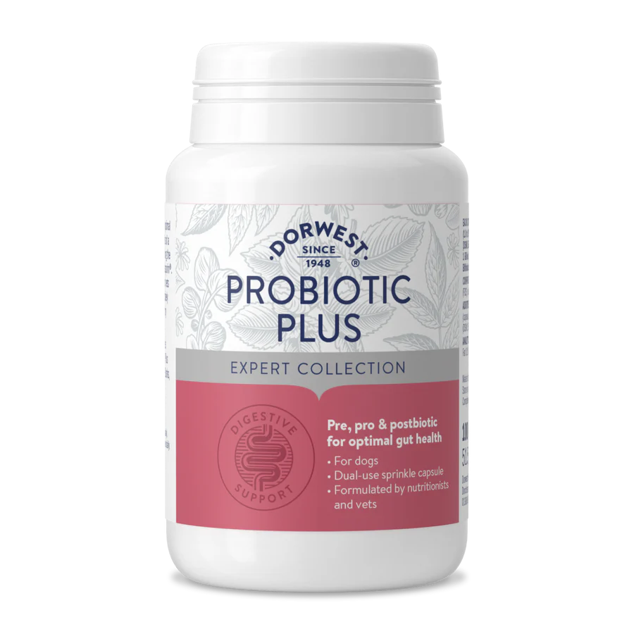Probiotic Plus x100