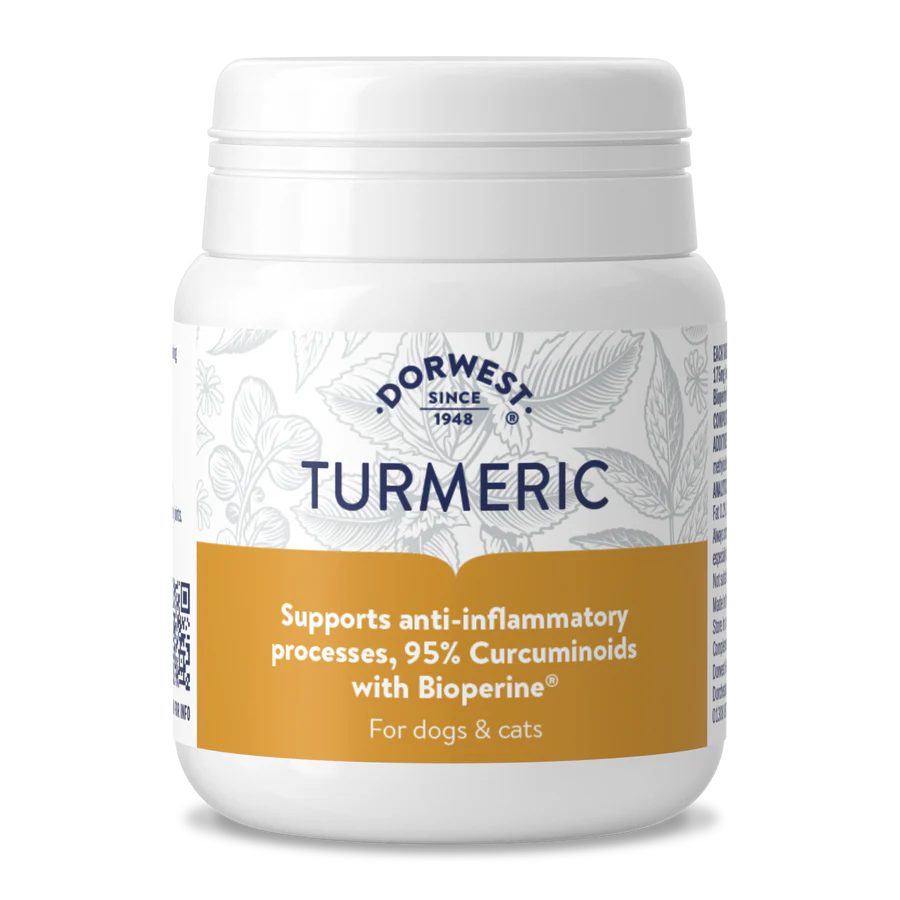 Turmeric x200