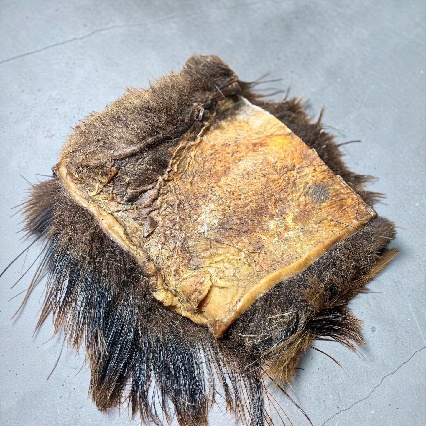 K9 Prime Cuts XL Wild Boar Hairy Skin Plate natural dog chew