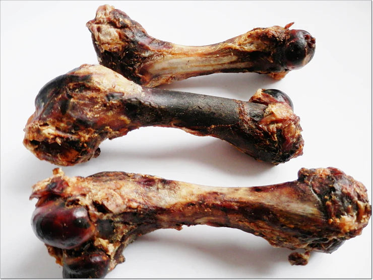 Pork Humerous Bone