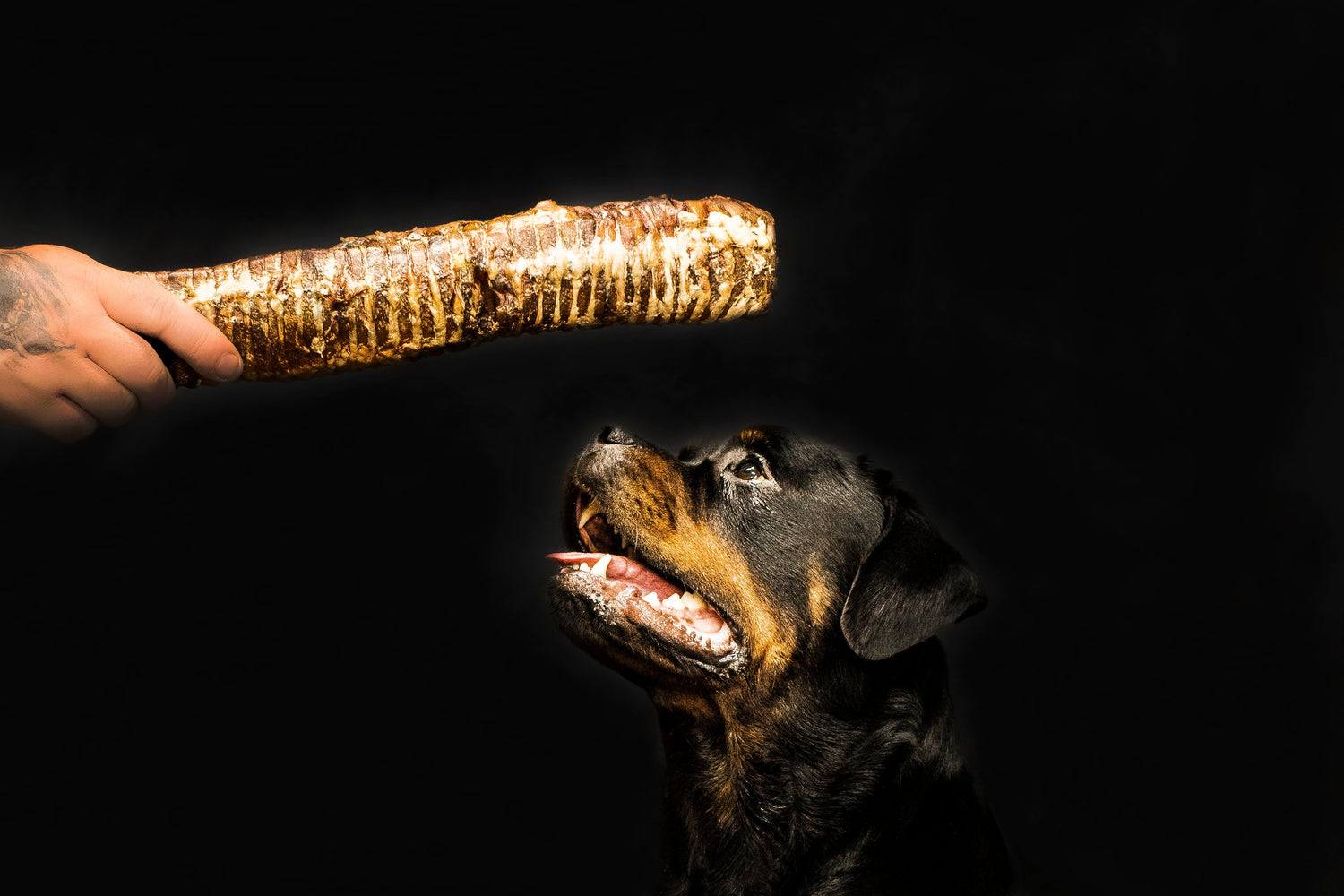 Natural Dog Training Treats
