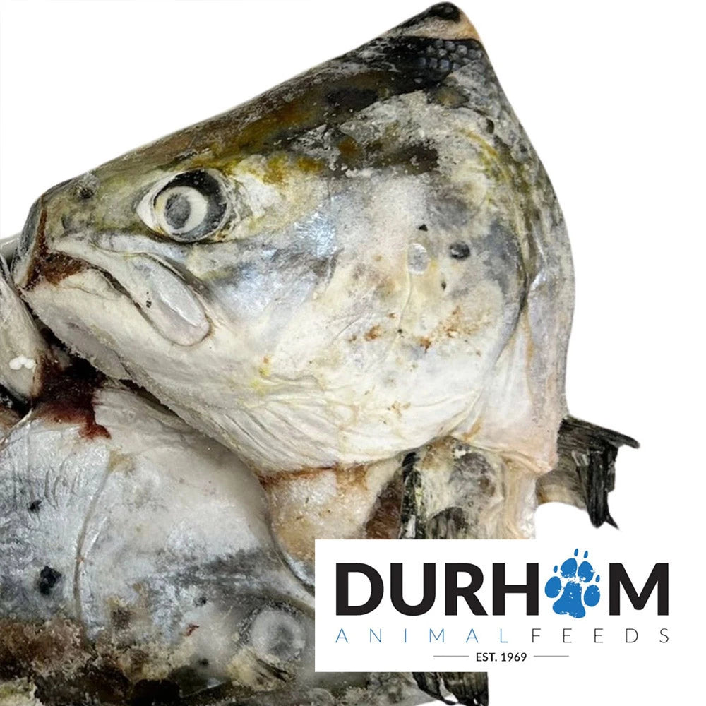Durham Animals Food Salmon Heads - Frozen Fish For Dogs