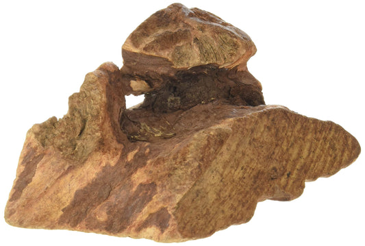 Tuber Roots