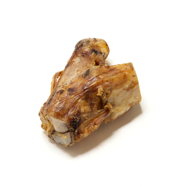 Beef knuckle bone natural dog chew from K9 Prime Cuts – 100% single-ingredient beef, long-lasting, rich in marrow and nutrients to support dental and joint health.