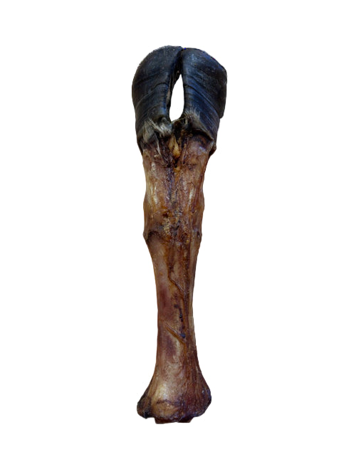 Beef leg bone natural dog chew from K9 Prime Cuts – 100% beef, rich in marrow and collagen, extra-large size for strong chewers; promotes dental health and mental stimulation.