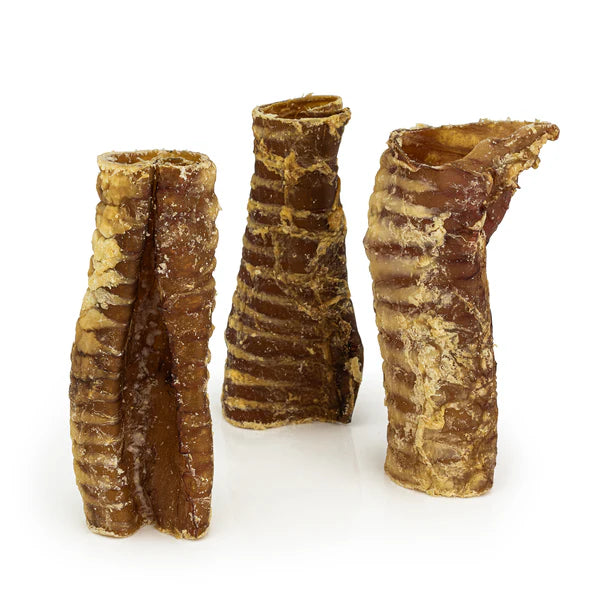 Cut beef trachea natural dog chew from K9 Prime Cuts – hollow 100% beef windpipe, rich in glucosamine and chondroitin, supports joint & dental health.