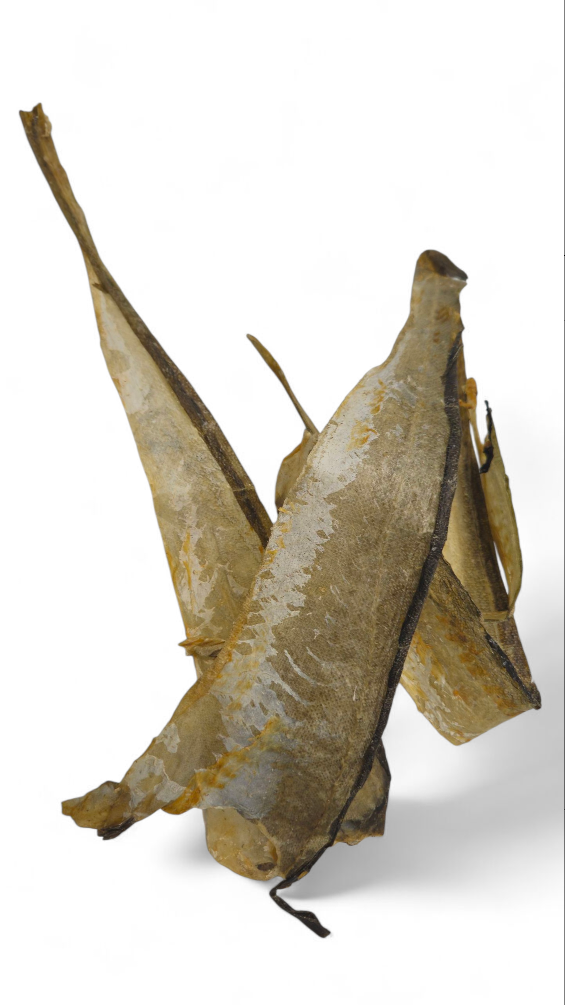 Bumbles Cod Skins by K9 Prime Cuts – natural fish skin dog treats made from 100% cod, around 40cm long, shown as flat, dried strips with a rough texture, high in protein and Omega-3, ideal for healthy dogs and raw feeding diets.