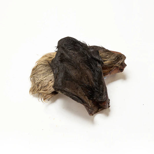 Hairy cow ears natural dog chew from K9 Prime Cuts – 100% dehydrated beef ear with hair intact, low-fat single-ingredient treat that supports dental cleaning and satisfies strong chewers while encouraging natural chewing behaviour.
