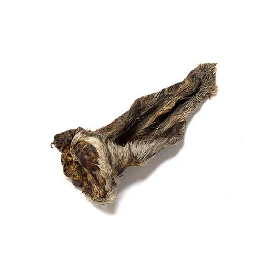 Hairy lamb ears natural dog chew from K9 Prime Cuts – 100% air-dried lamb ear with fur intact, long-lasting chew for small dogs, fibre-rich, additive-free and great for natural gut support.
