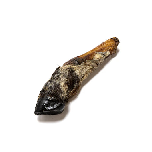 Hairy lamb feet natural dog chew from K9 Prime Cuts – 100% lamb, fur intact, long-lasting chew promoting dental hygiene, rich in calcium and satisfying strong chewing instincts.
