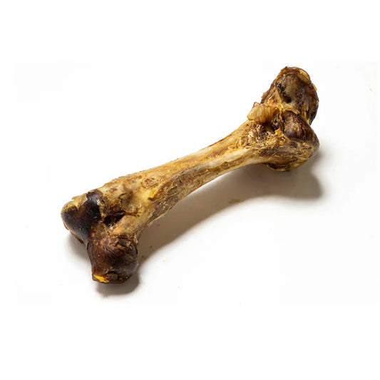 Ostrich Bone Jumbo