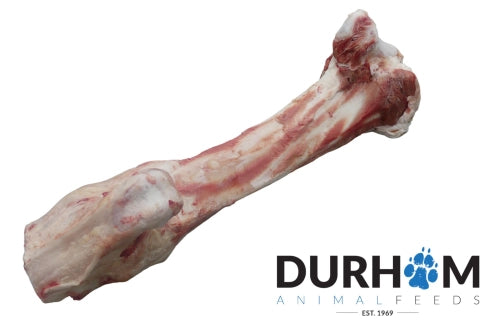 Raw Beef Jurassic Bone
