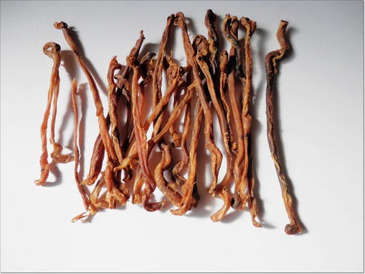 Lamb Pizzle Jerky – 100% Natural High-Protein Chew for Healthy Teeth, Gums & Immunity