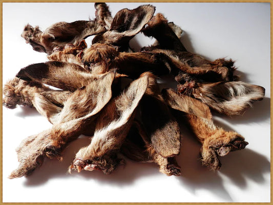 Roe Deer Ears