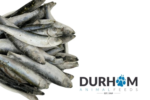 Sprats 1kg