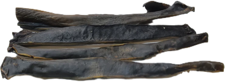 Venison Skin XL 50 cm dog treat from K9 Prime Cuts – 100% venison, air-dried single-ingredient chew, approx. 50 cm long, supports dental health and is ideal for strong chewers and raw feeding.