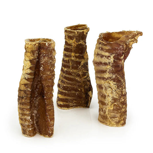 Displayed beef trachea showing natural hollow cartilage pieces presented as a crunchy chew suitable for dogs
