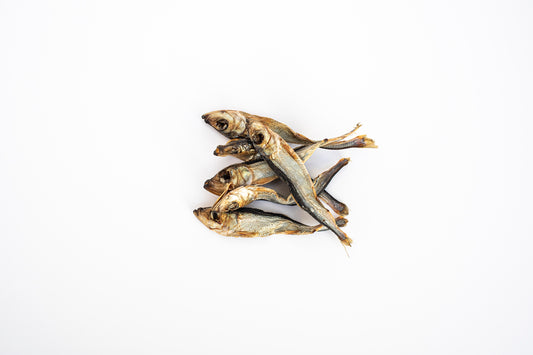 Herring dog food showcasing whole herring rich in natural omega 3 to support skin, coat, joints, and overall canine wellbeing