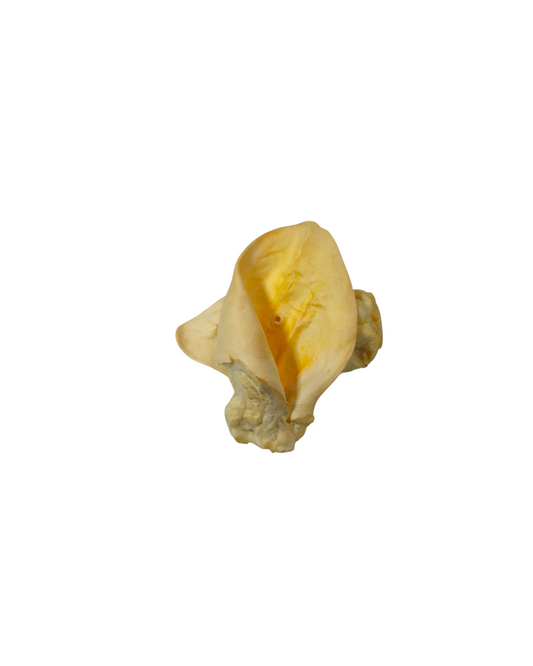 Grade A Beef Ears with auricle from K9 Prime Cuts Basingstoke — natural 100% beef dog treats that are high in protein, low in fat, and ideal for raw feeding, BARF, and 80-10-10 diets.