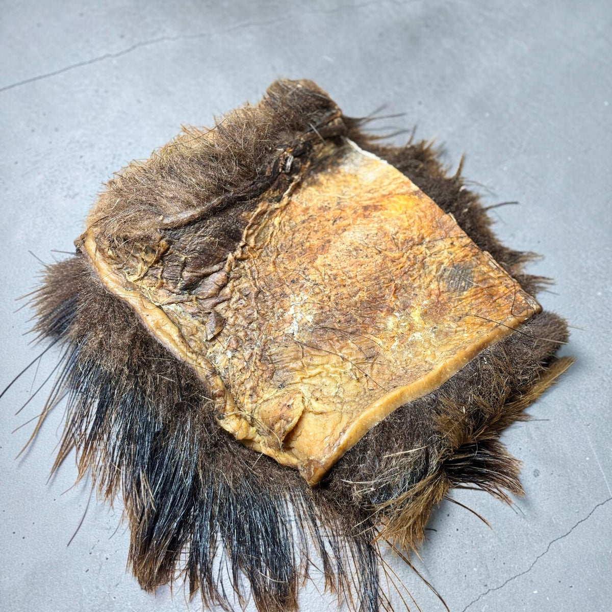 K9 Prime Cuts XL Wild Boar Hairy Skin Plate natural dog chew