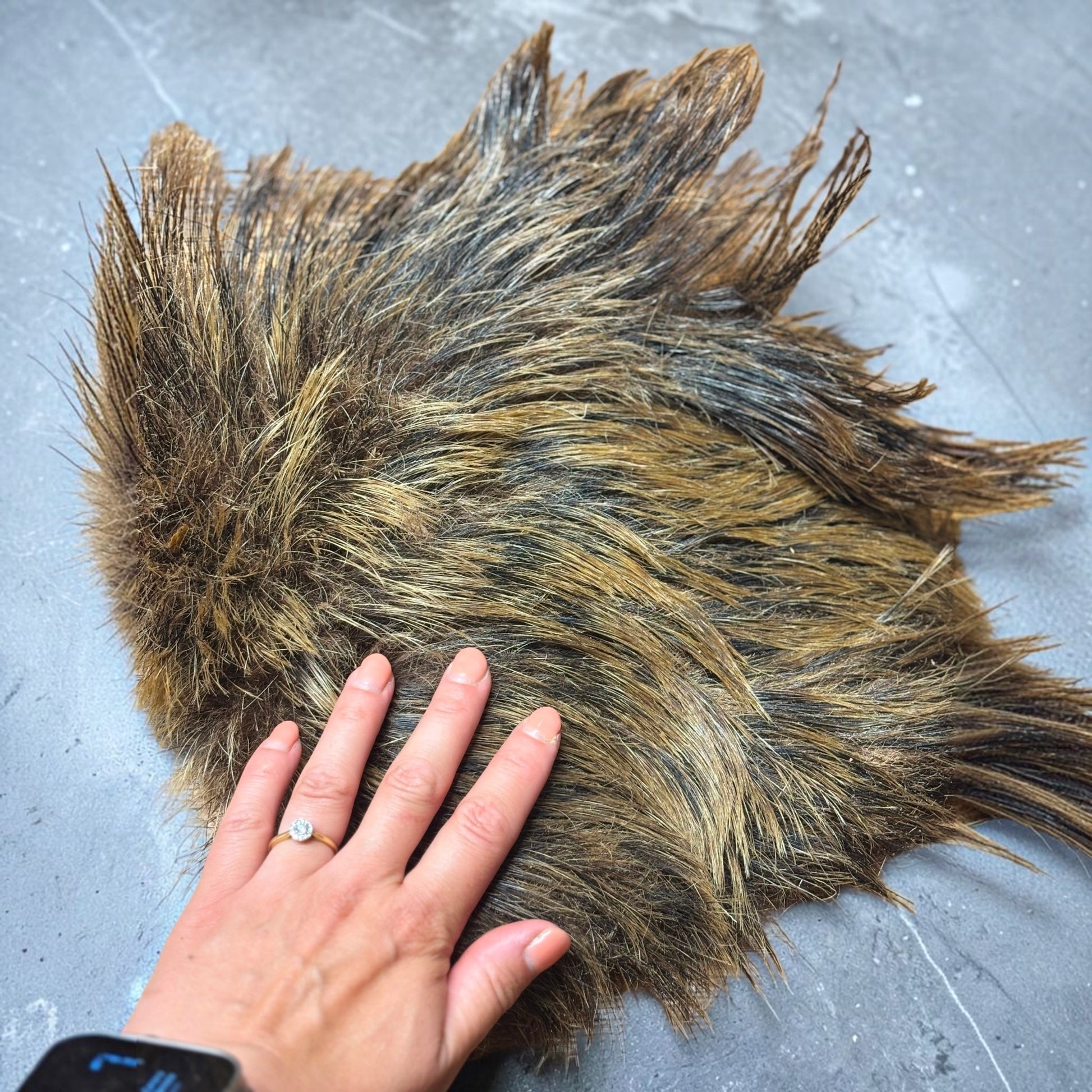 K9 Prime Cuts XL Wild Boar Hairy Skin Plate natural dog chew