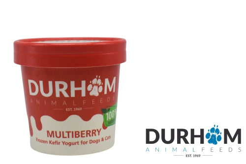 Organic Kefir Yogurt