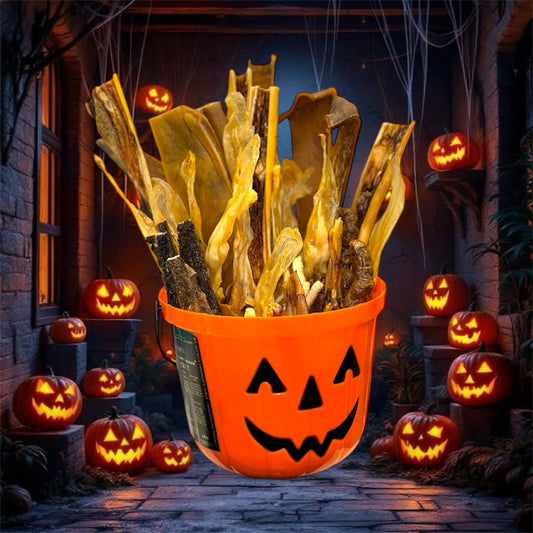 Trick or treat bucket