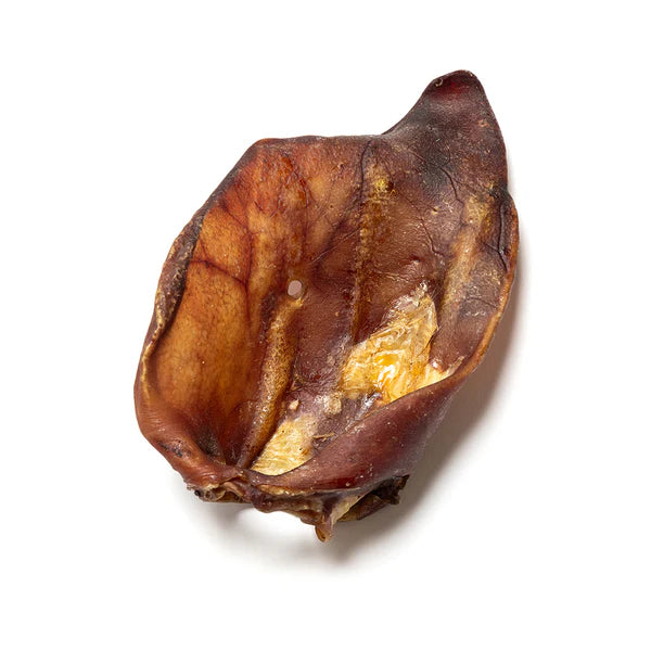 XL Sow Ears – Grade A | K9 Prime Cuts Basingstoke