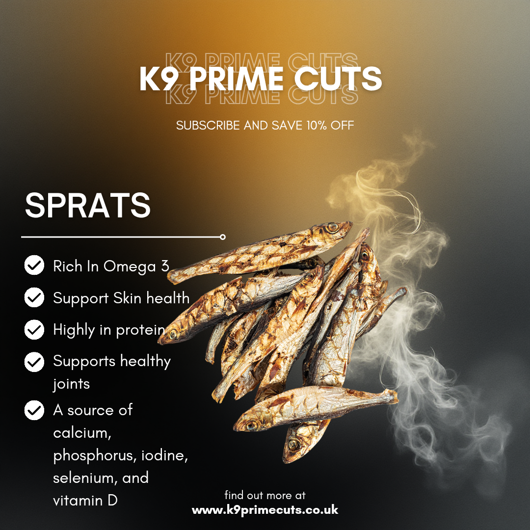 Sprats are a natural, high protein dog treat rich in omega 3 fatty acids that support healthy skin, shiny coats, joint health, and overall wellbeing. Ideal for natural feeding and training rewards.