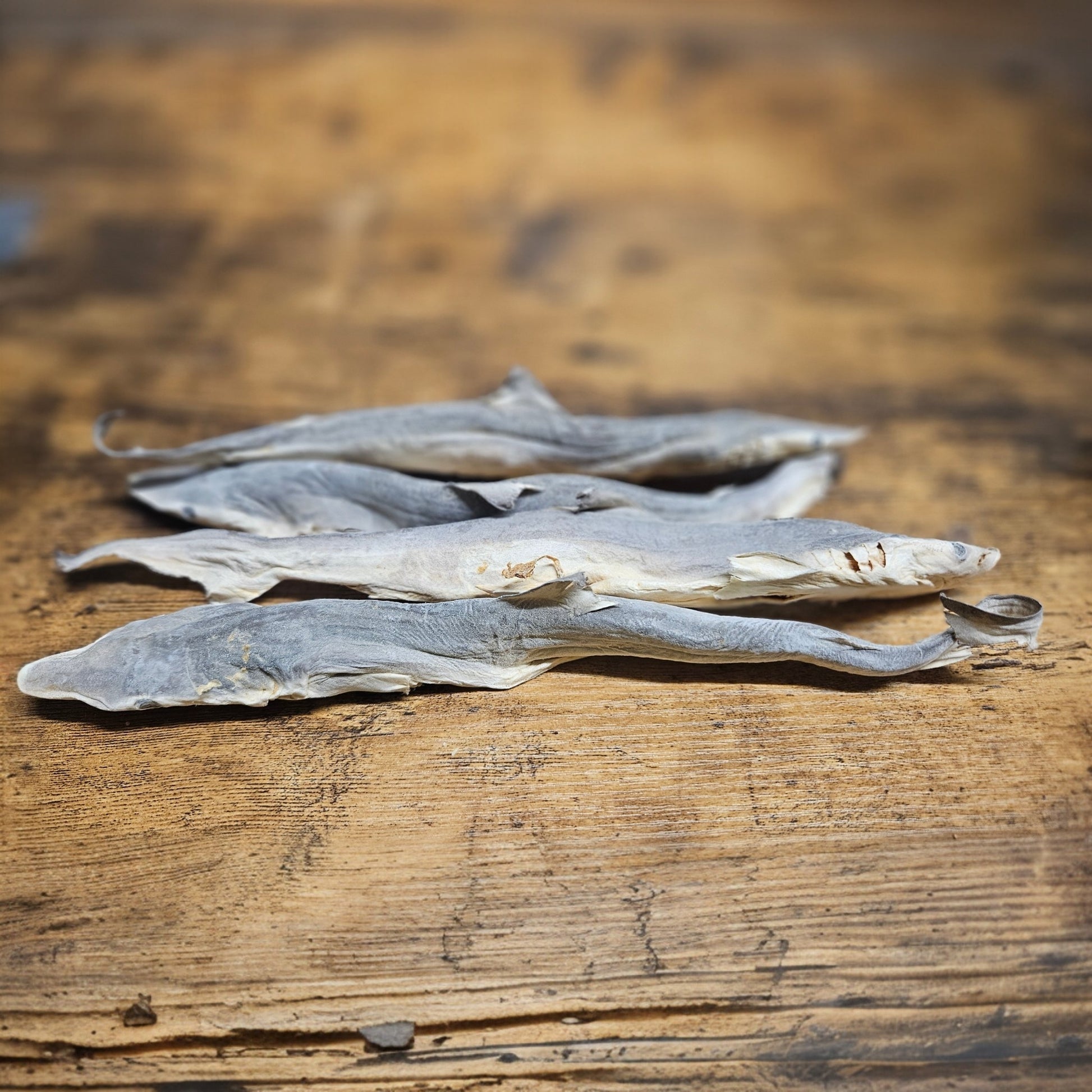 Working Dog Sharpnosed Shark dried natural dog treat pack of 10 by K9 Prime Cuts