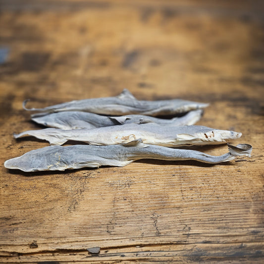 Working Dog Sharpnosed Shark dried natural dog treat pack of 10 by K9 Prime Cuts